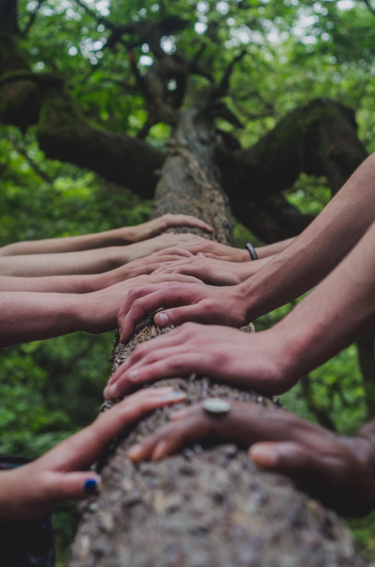 An image of a group of people standing together holding hands to symbolize a strong support system.