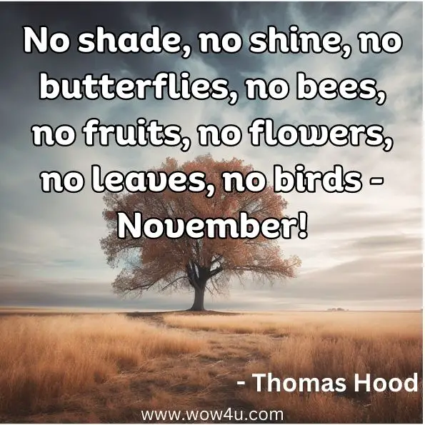 No shade, no shine, no butterflies, no bees, no fruits, no flowers, no leaves, no birds - November!