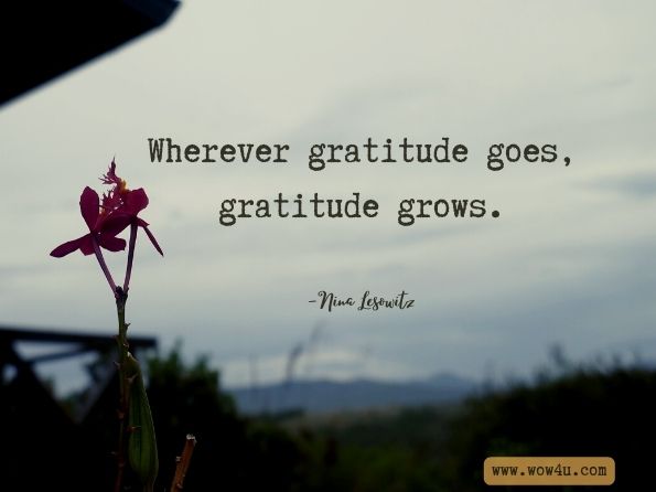 Wherever gratitude goes, gratitude grows.
Nina Lesowitz, ‎Mary Beth Sammons, The Grateful Life